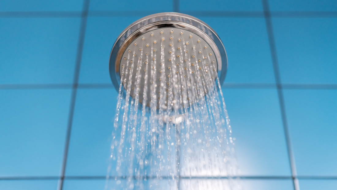 shower filter