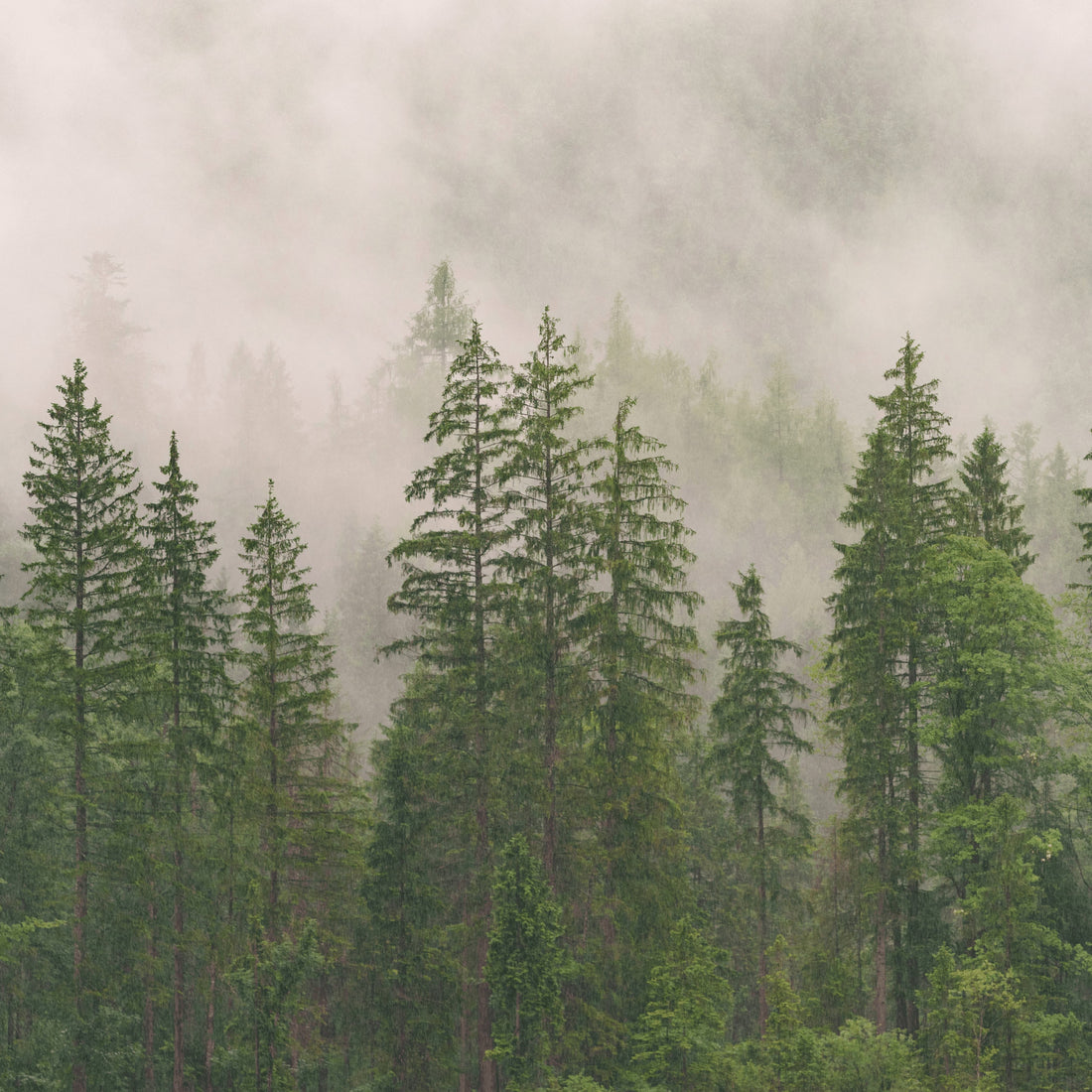 How climate change is affecting water quality