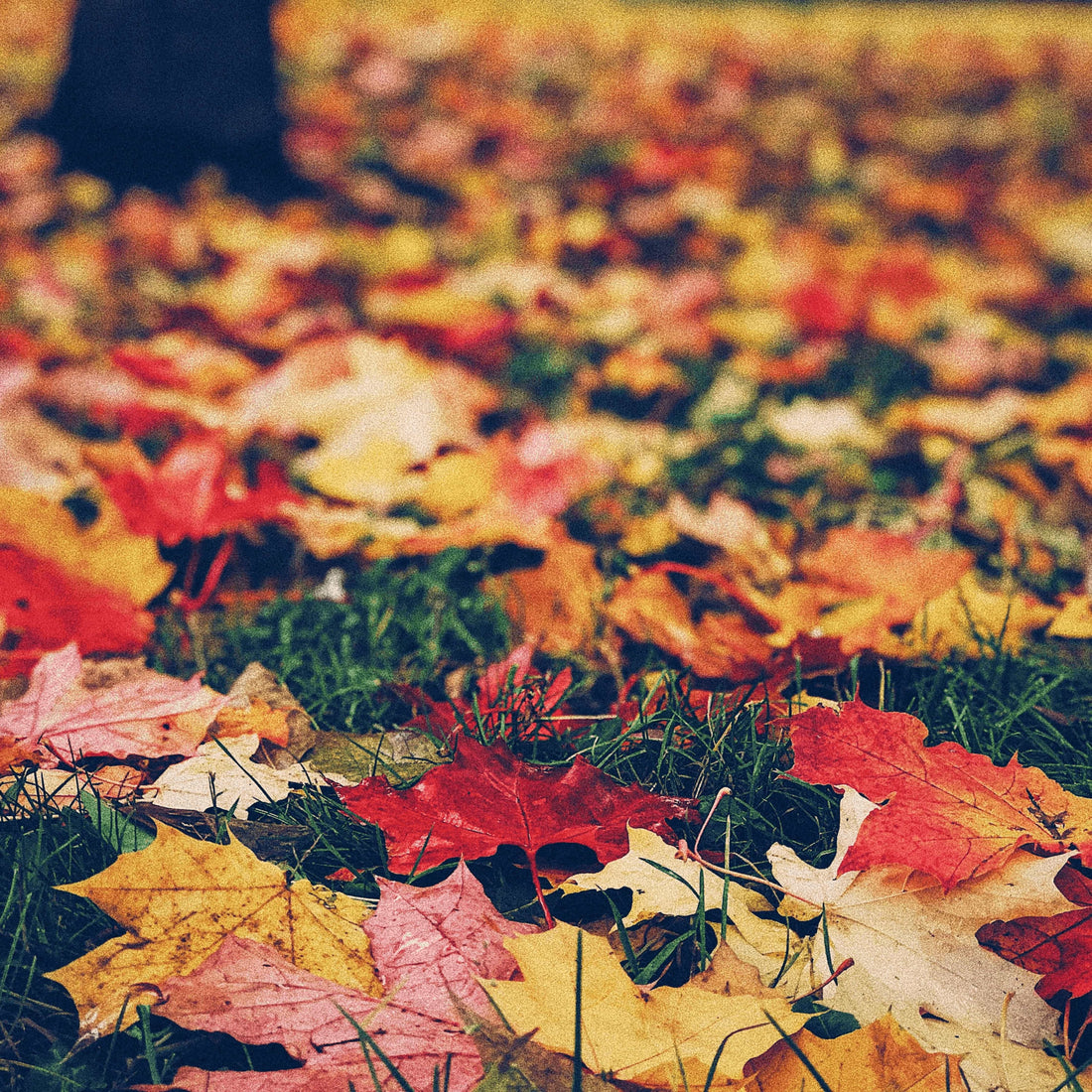 how seasonal changes affect your skin, hair, and water quality